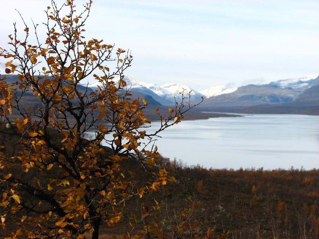 Leppäjärvi ガルドティエヴァ Seoヴィラ エクステリア 写真