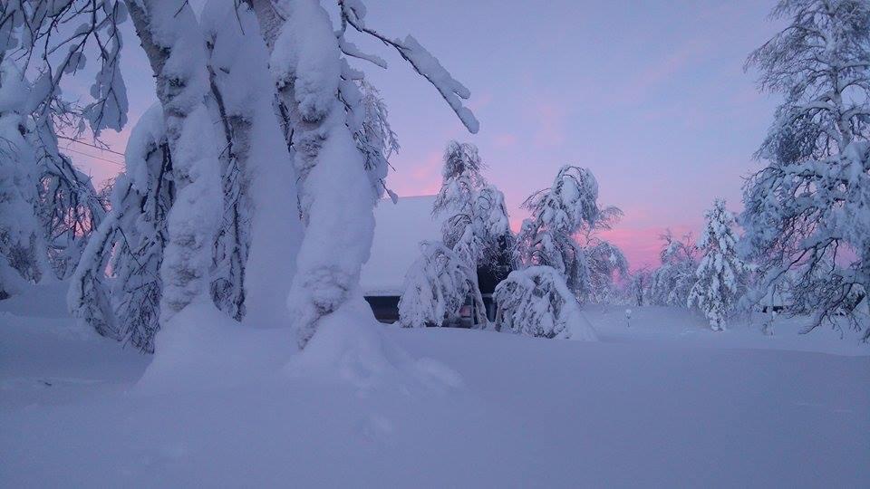 Leppäjärvi ガルドティエヴァ Seoヴィラ エクステリア 写真